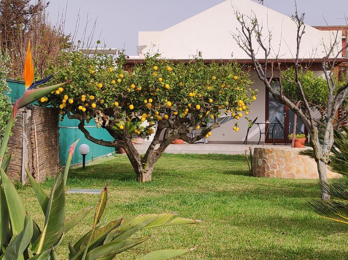 Ferienwohnung Brezza Di Stagnone Birgi Vecchi Exterior foto