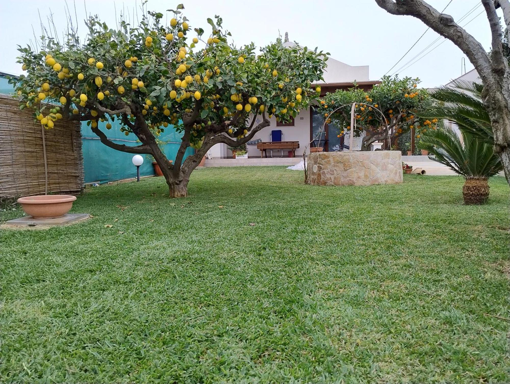 Ferienwohnung Brezza Di Stagnone Birgi Vecchi Exterior foto